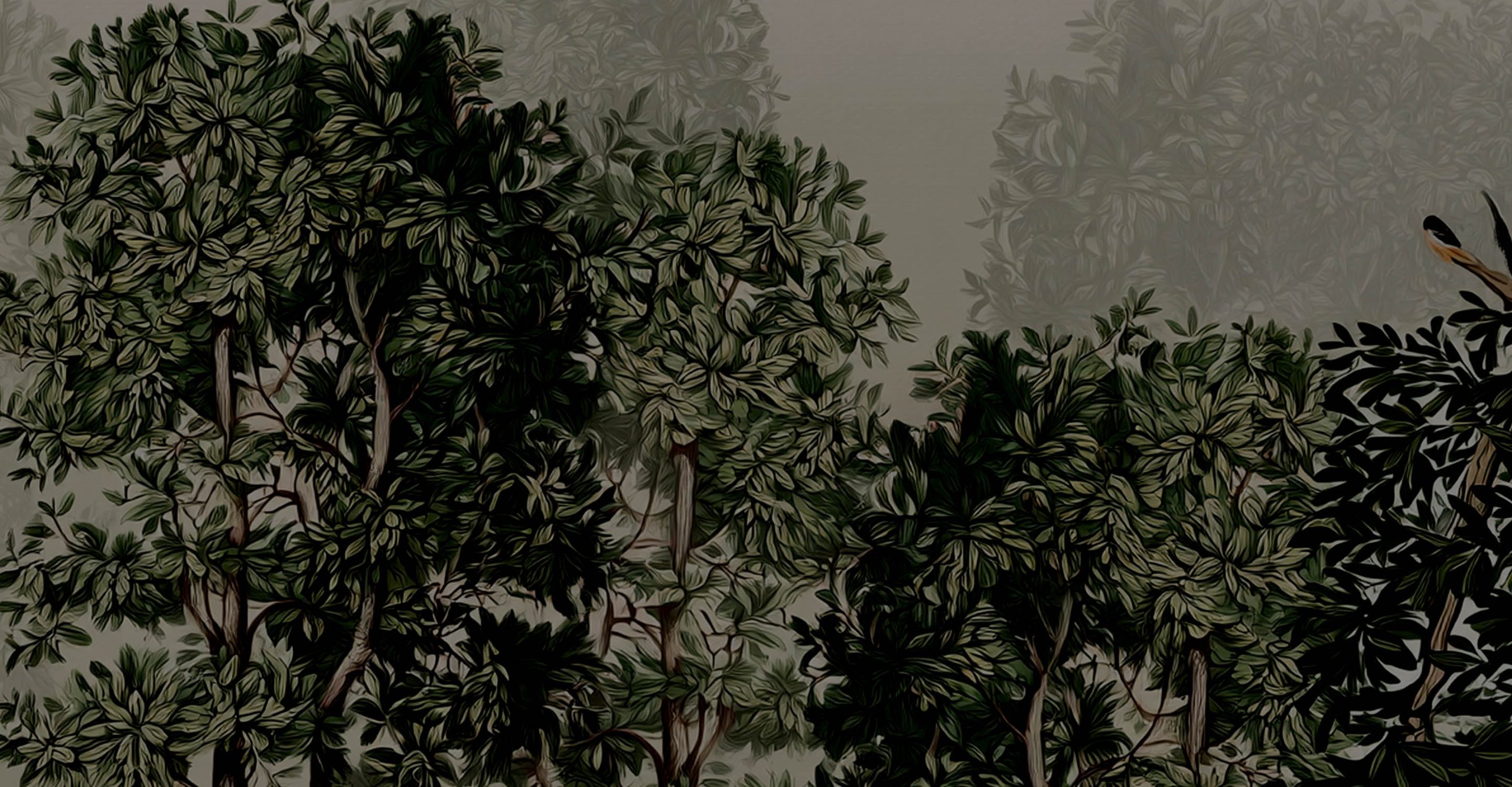 trees illustration